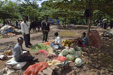 Farmer Market, Bauernmarkt, Mysore_DSC4688_H600